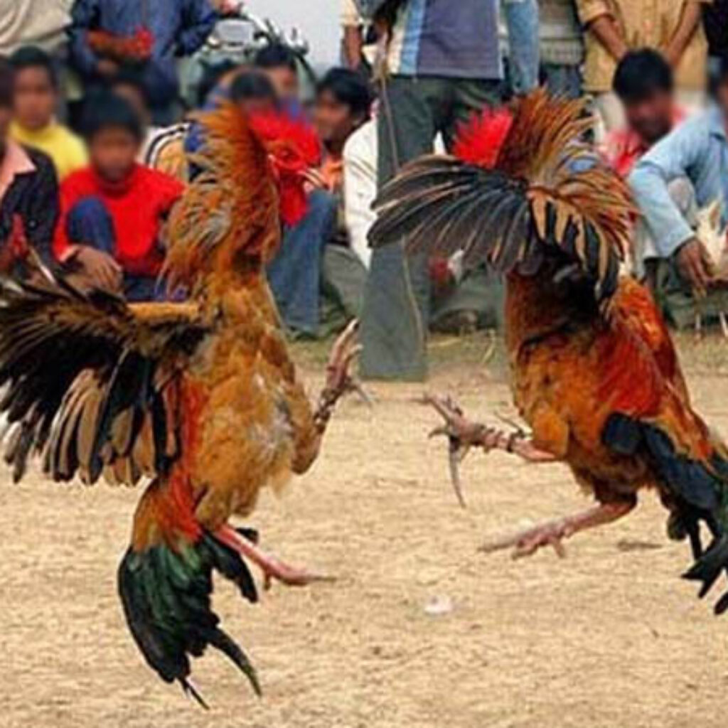 303 di Tigaraksa Tangerang Diabaikan APH