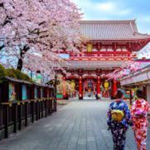 How To Find Job in Japan After Graduation