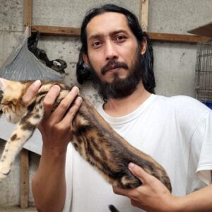 Berawal Hobi, Jurnalis Kota Batu Raih Omset Tambahan dari Kucing Bengal