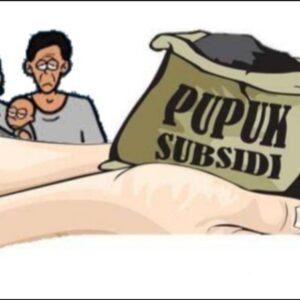 Aneh! Pupuk Subsidi Di Indonesia Sulit Didapat, Malah Di Selundupkan Ke Timor Leste