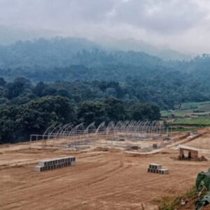 Proyek Green House Strawberry di Sumber Brantas Belum Kantongi PBG