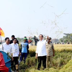 Panen Raya di Subang, Presiden: Diharapkan Tambah Cadangan Beras Kita
