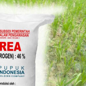 Skandal Penjualan Pupuk Subsidi di Desa Kreteranggon: Harga Melebihi HET, Petani Mengeluh