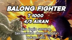 “Hoaks atau Nyata? Flyer ‘Balong Fighter’ Beredar, Aktivitas Diduga Berlangsung, Publik Tagih Penjelasan Polres”