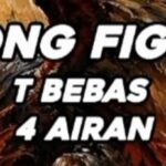 Sabung Ayam Diduga Terang-terangan di Ngantru, APH Dipertanyakan: Mengapa Tak Kunjung Ditindak?