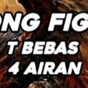 Sabung Ayam Diduga Terang-terangan di Ngantru, APH Dipertanyakan: Mengapa Tak Kunjung Ditindak?