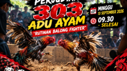 DUA VERSI BERTABRAKAN! “BALONG FIGHTER” DISEBUT AKAN DIGELAR, POLISI: HOAKS — 13 SEPTEMBER JADI UJIAN