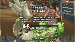 Sudah Digerebek dan Dibakar, Balong Fighter Kembali Diiklankan! Kinerja APH Dipertanyakan