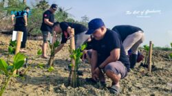 Tanam Mangrove di Pesisir Saronggi, MYZE Hotel Sumenep Ajak Jaga Alam untuk Generasi Mendatang